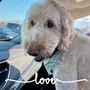 Meet your Posher, Becki